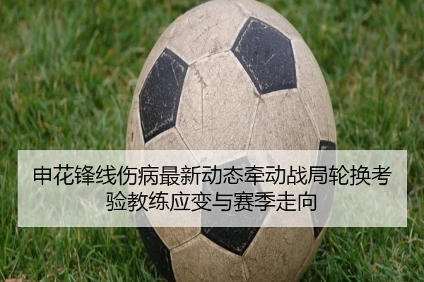 申花锋线伤病最新动态牵动战局轮换考验教练应变与赛季走向 | xiongmao tiyu